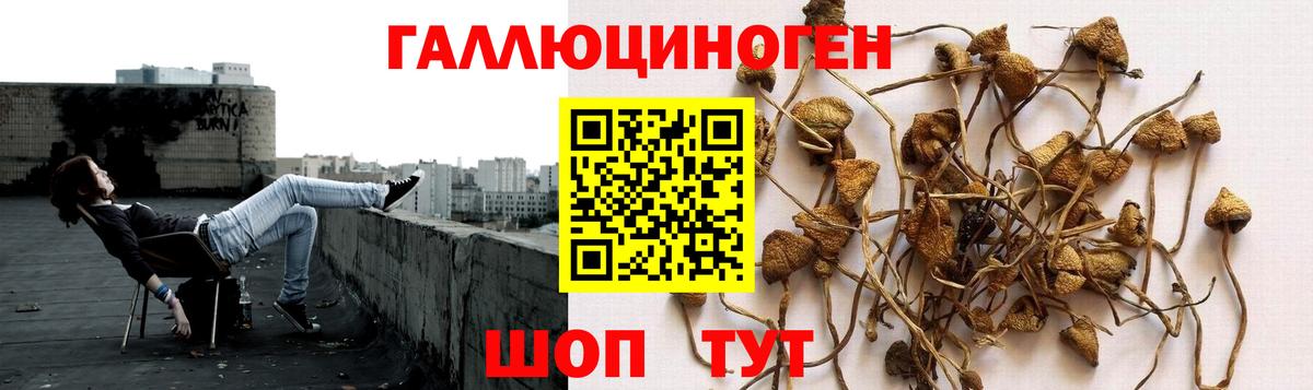 Галлюциногенные грибы мухоморы  Галлюциногенные грибы Magic Shrooms  Вход с VPN  Нерюнгри 